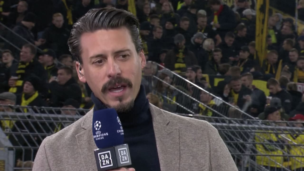 Sandro Wagner.jpg